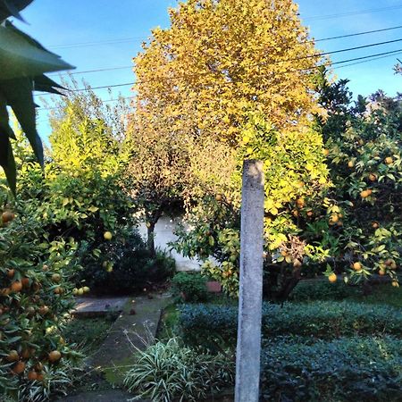 Casa Xantarim Bed & Breakfast Santarém Eksteriør bilde