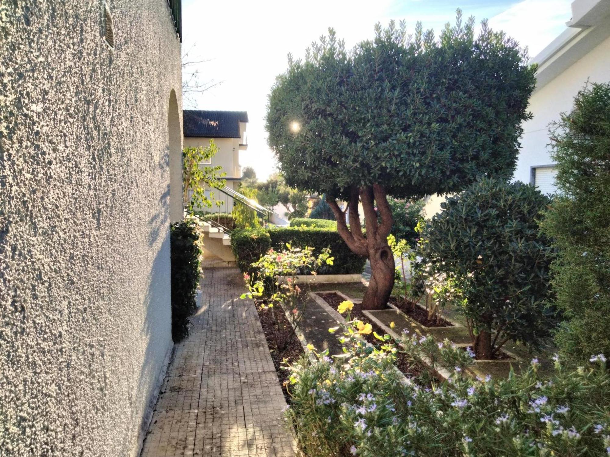 Casa Xantarim Bed & Breakfast Santarém Eksteriør bilde